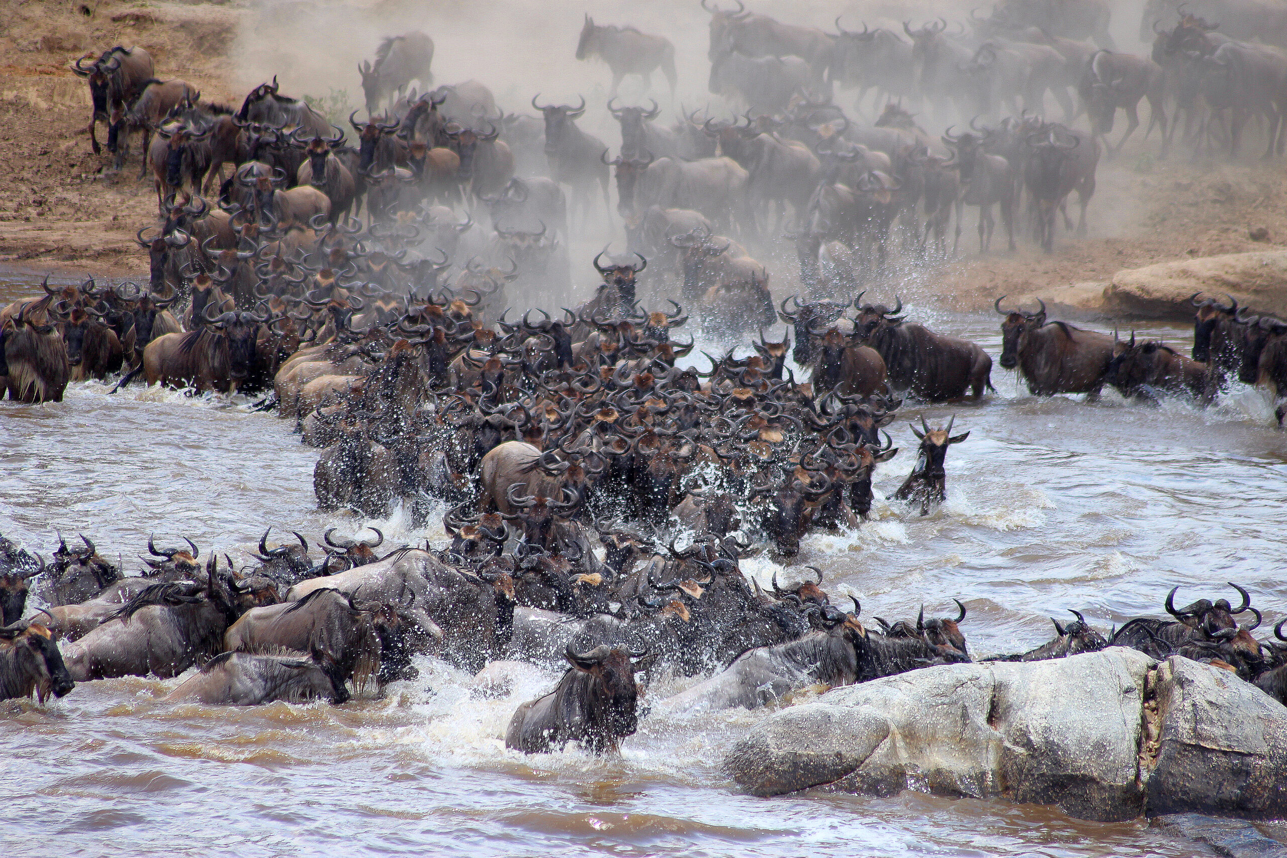 3-Day Luxury Fly-in Wildebeest Migration Safari