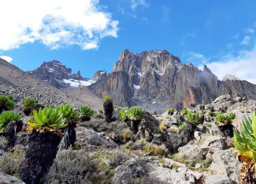 5-Day Mount Kenya Trekking Adventure – Chogoria Route (Optional Sirimon-Chogoria Traverse)