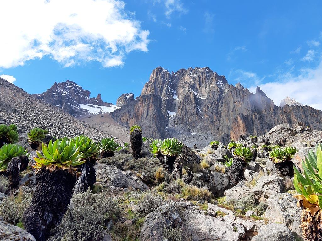 5-Day Mount Kenya Trekking Adventure – Chogoria Route (Optional Sirimon-Chogoria Traverse)