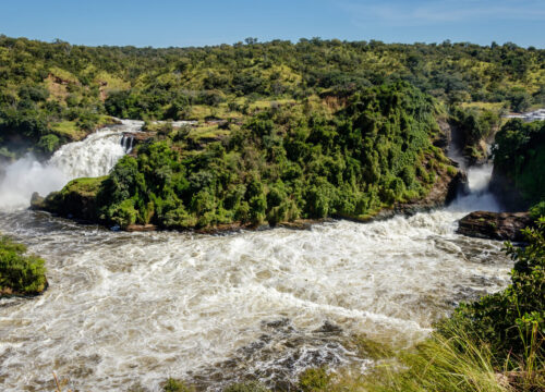 3 Day Murchison falls Expedition