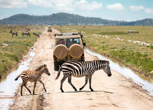 5-Day Tarangire, Serengeti & Ngorongoro Crater Safari