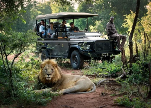 10-Day Cape Town Adventure: The Ultimate South African City Escape