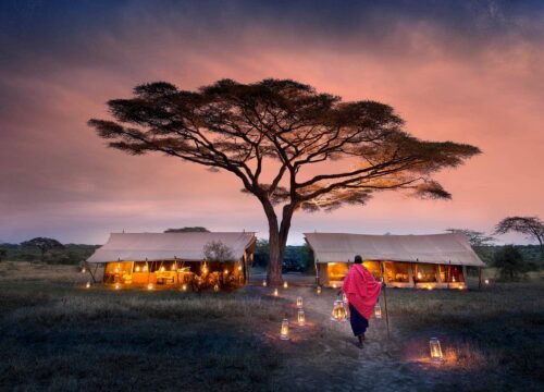 7 Days Best of Tanzania Luxury Safari