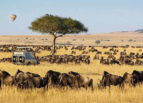 4-Day Mid-Range Safari: Lake Nakuru & Maasai Mara