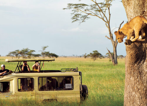 3-Day Budget Serengeti Safari Package